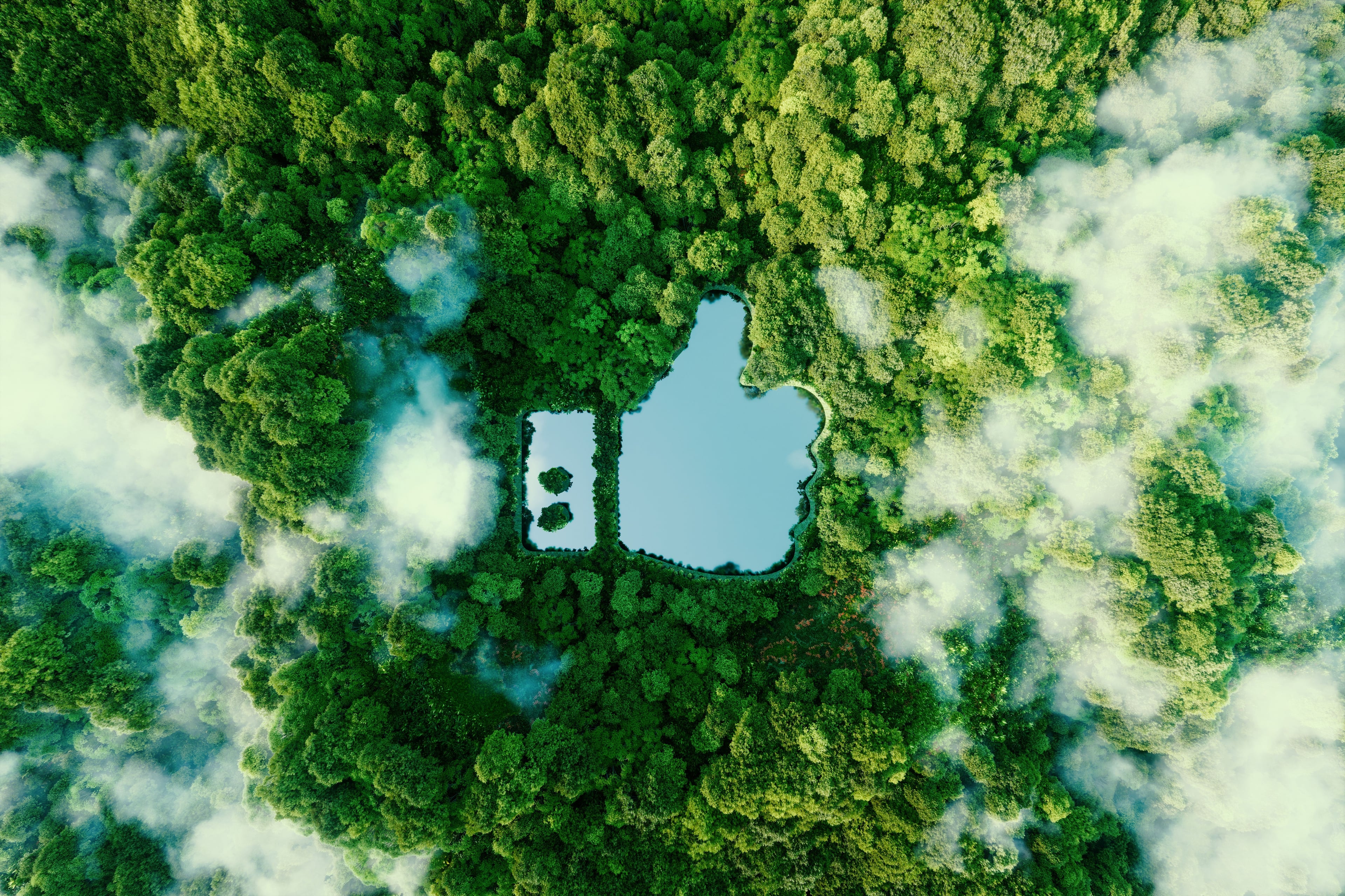 Lake formed like a thumb in the forest from bird view