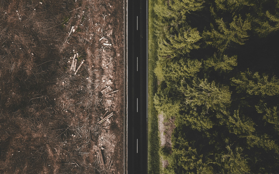 Aerial view of a road dividing lush green forest from a deforested barren land with logs, symbolizing the contrast and sustainability challenges addressed in business consulting.