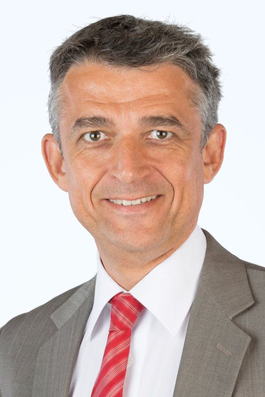 Portrait of Markus Lauer, senior consultant at H&Z consulting, wearing a grey suit and red striped tie, smiling confidently.