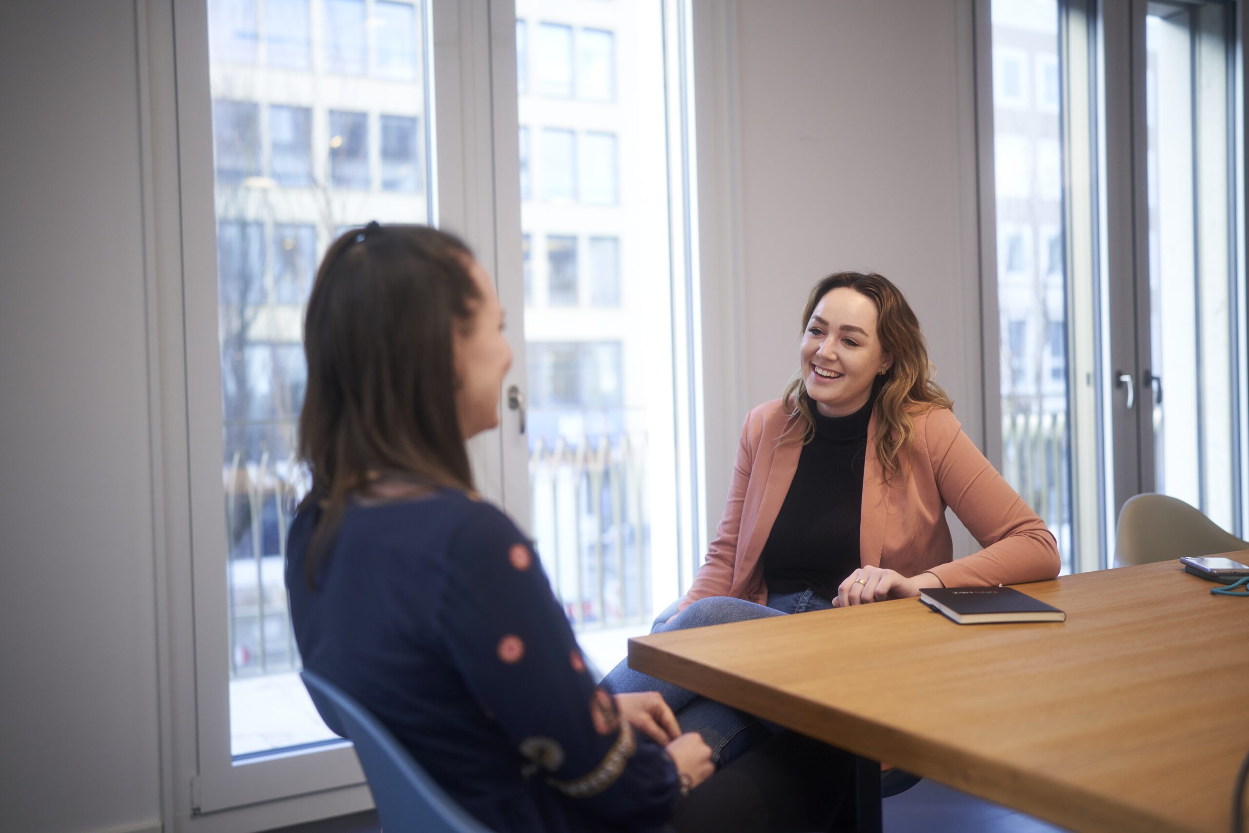 Two female professionals discussing a project at a meeting table in a modern consulting office with large windows
