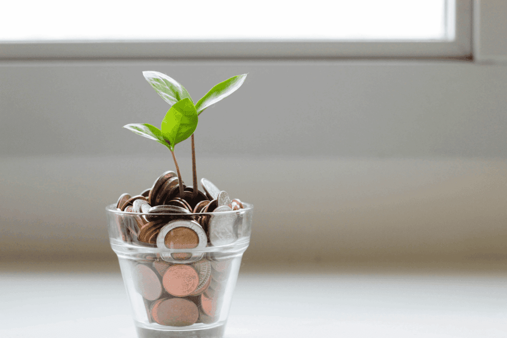 Young green plant growing from a pot filled with coins, symbolising sustainable growth | H&Z