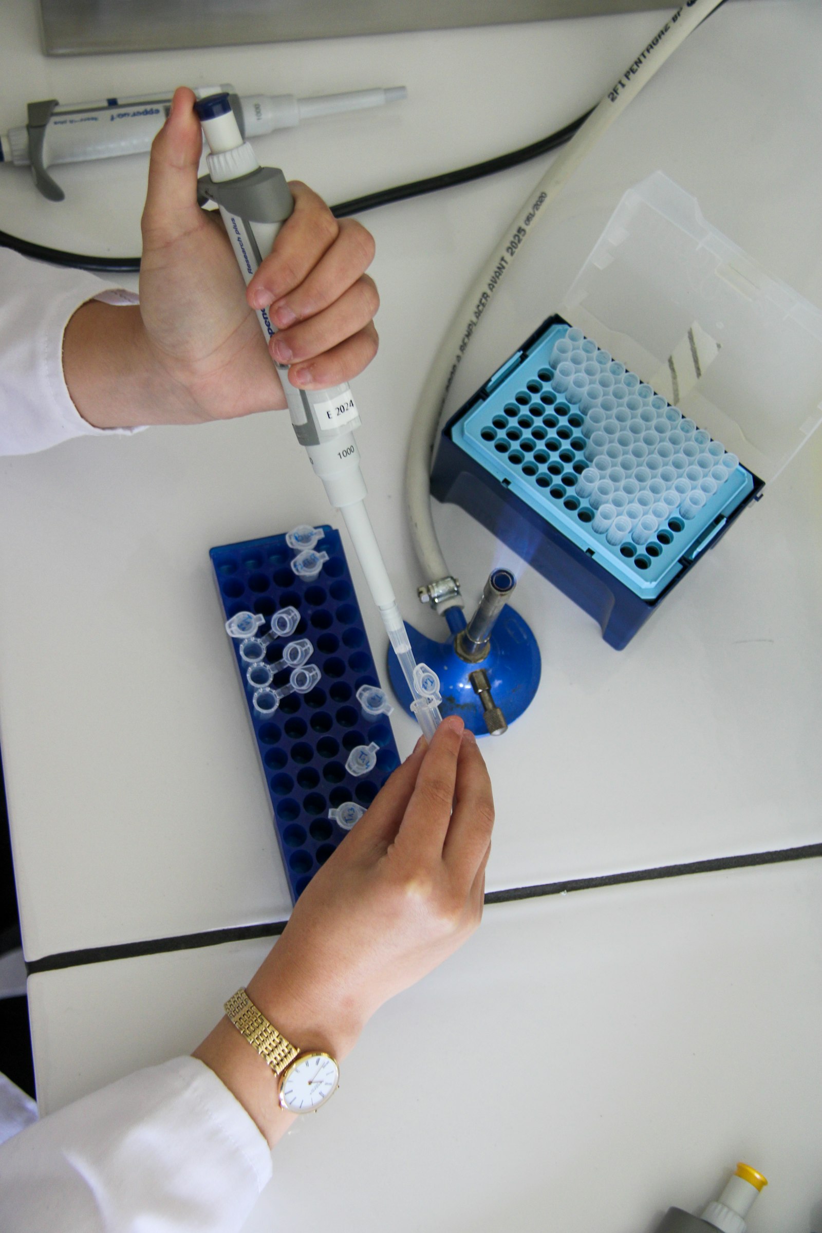 Biotech and CDMO laboratory
