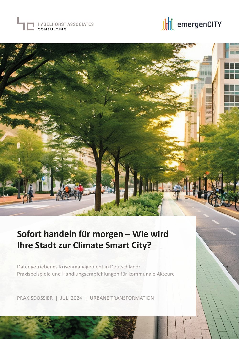 Cover of the practice dossier on how cities can become Climate Smart Cities