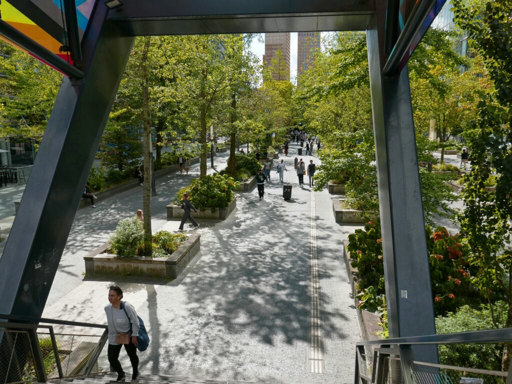 Tree-lined pedestrian boulevard with planted beds in a city centre